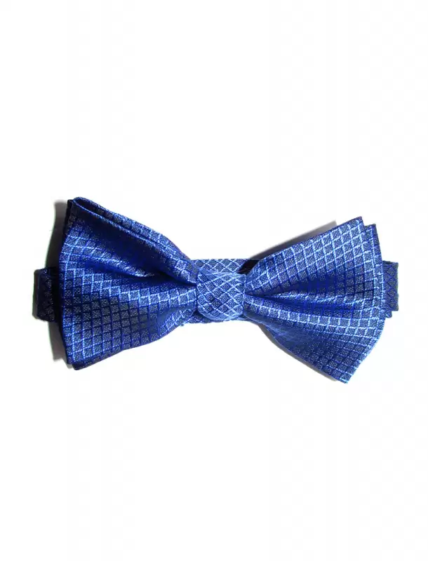 Gravata Borboleta Azul